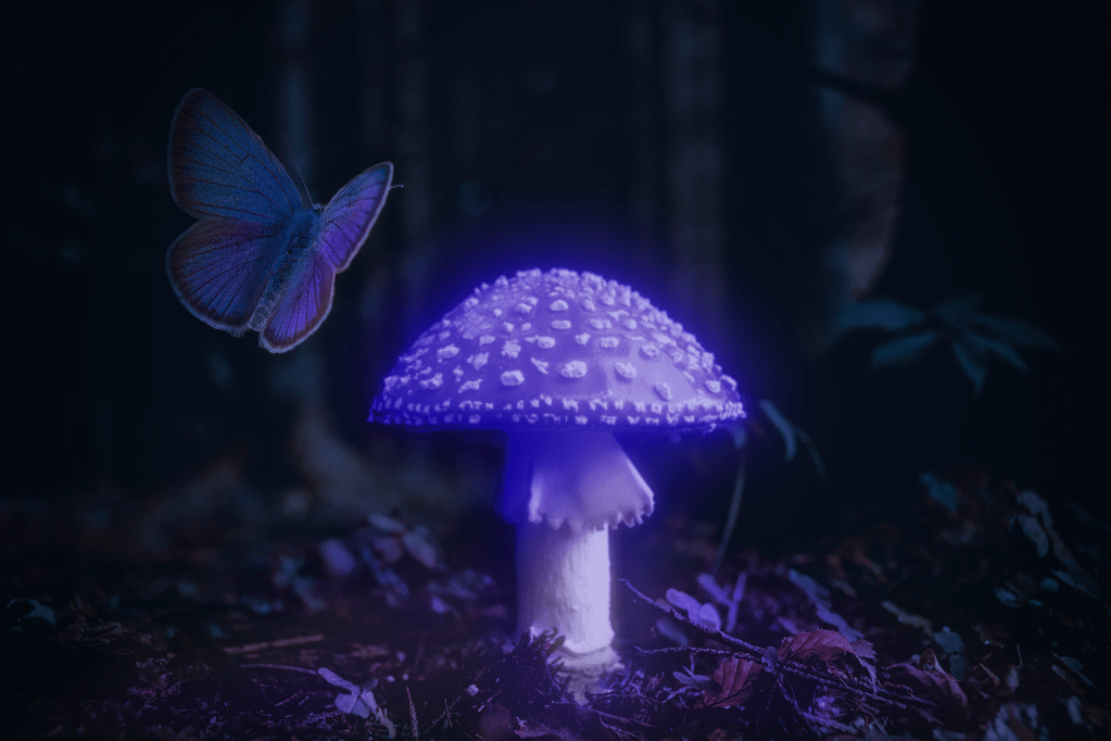 Glowing mushroom