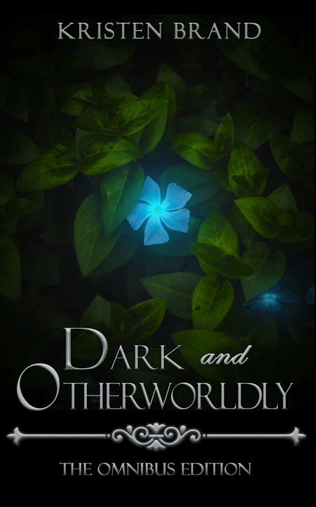 Book Cover Attempt 4