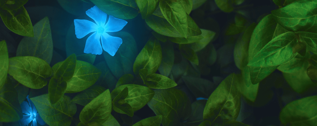 Dark and Otherworldly Omnibus Banner