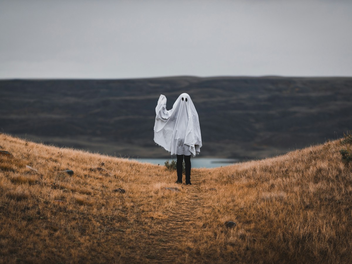 I’m back from the&nbsp;dead